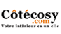Logo Cotecosy